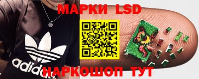крисы Донской