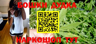 крисы Донской
