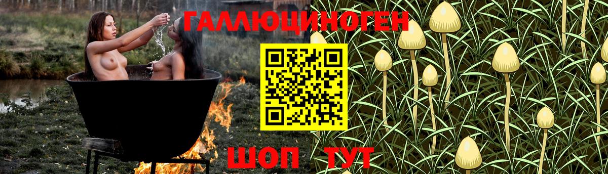 Псилоцибиновые грибы Psilocybine cubensis Кыштым