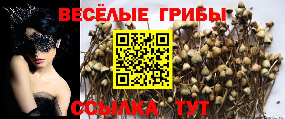 Кыштым  Псилоцибиновые грибы Magic Shrooms  Вход с VPN 